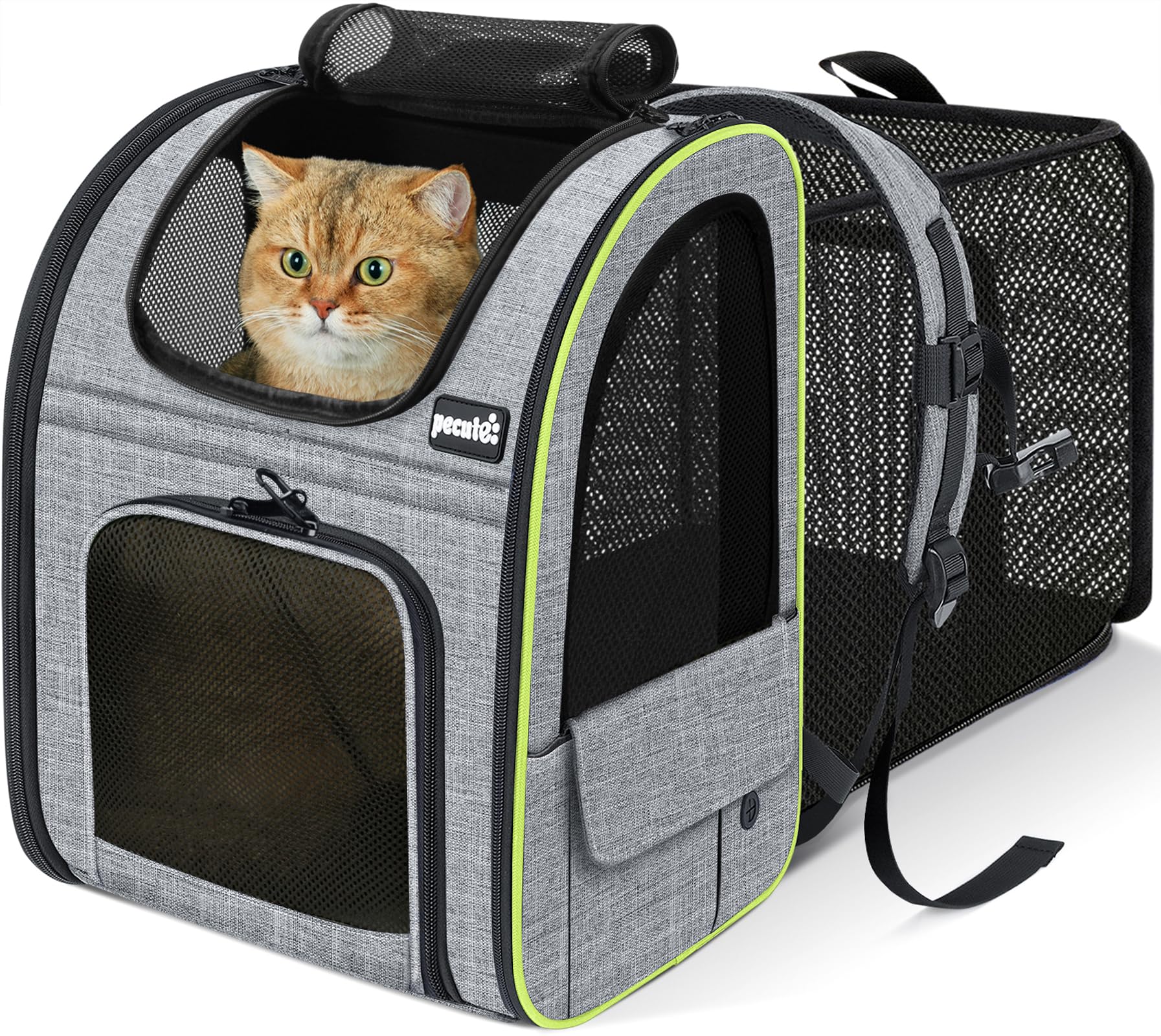 Pecute Cat Carrier Dog Backpack Expandable, Portable Breathable Rucksack with Front Opening-Mesh Window-Pockets, Extendable Back More Space Great For Carrying Puppy Dogs Cats Up to 8KG