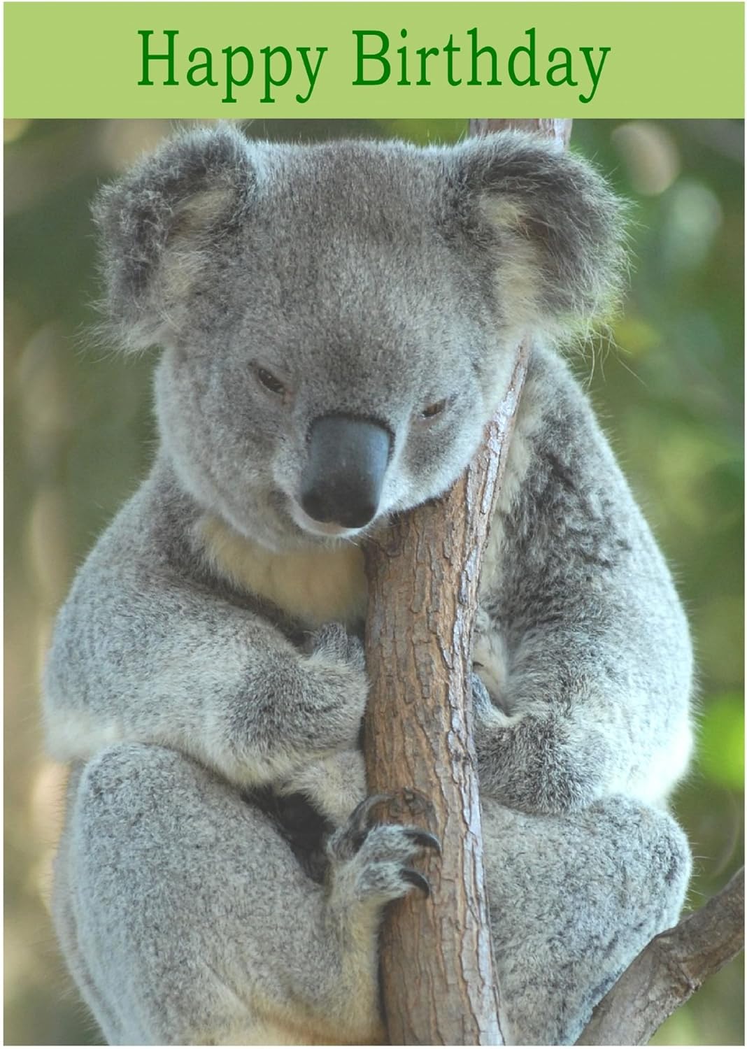 1 Pc Koala Personalized Birthday Letter Banner Green Toys Games Party Supplies Kiririgardenhotel Com