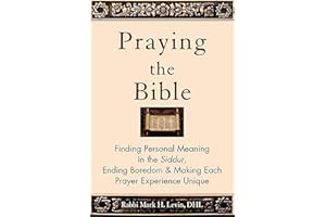Praying the Bible: Finding Personal Meaning in the Siddur, Ending Boredom & Making Each Prayer Experience Unique
