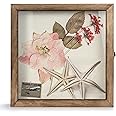 Anpassbare Holz Shadow Box Vitrine Wand & Display Regal für Erinnerungs stücke B