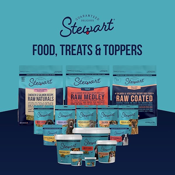 STEWART WILD SALMON DOG TREATS, 2.75 OZ, ~55 PIECES, FREEZE DRIED RAW, SINGLE INGREDIENT, 65% PROTEIN TRAINING TREATS OR MEAL TOPPER IN A RESEALABLE POUCH, GRAIN FREE, GLUTEN FREE