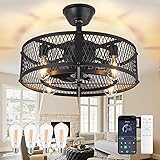 DLLT Caged Ceiling Fan with Light: 20" Farmhouse