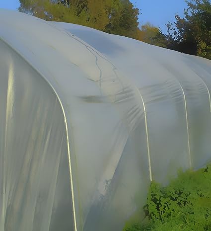 Jehafol Gewächshausfolie 1,45 €/m² Gartenfolie 6,50 m Breit 0,2 mm stark (6,50 x 2,00 m)
