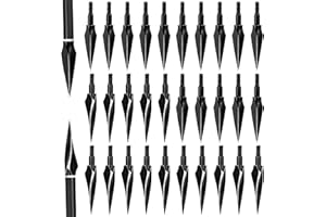 SERfawnCH Traditional Broadheads 30 Pack, Heat-Treated 100/125 Grain Practice Arrow Tips for Compound & Recurve Bows, Hunting