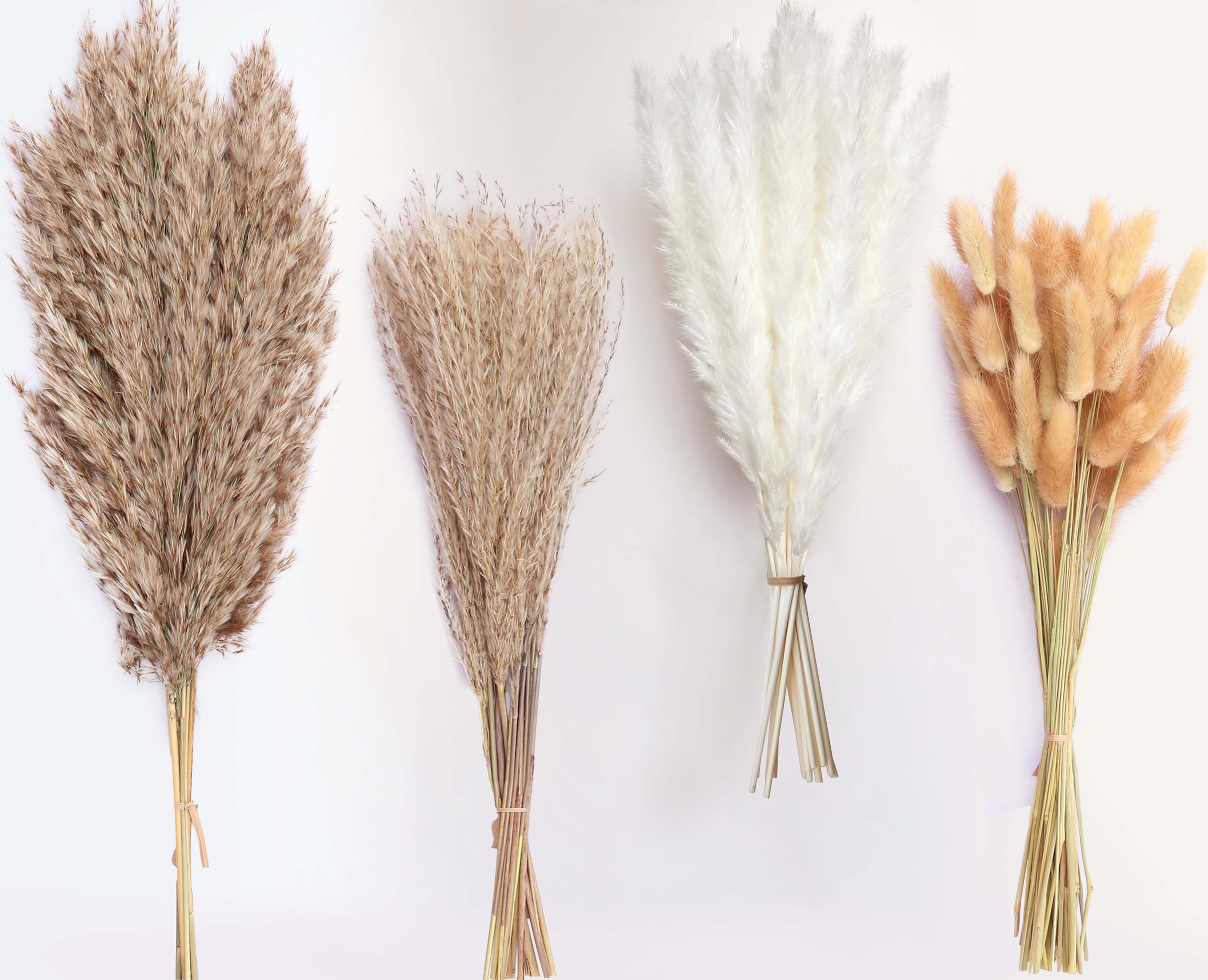 Photo 1 of 100 Stems Dried Pampas Grass, Boho Table Decor Natural Reed Phragmites Grass, Fluffy Large Pampas Grass, Bunny Tails Flowers Bouquet for Wedding Floral Arrangements Farmhouse Home, Wall Rustic Party