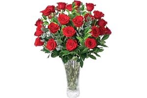 Aquarossa Farms - 2 Dozen Red Roses Bouquet, Best Next-Day Fresh Flower for Delivery Prime, Ideal for Birthdays, Get Well Gift for Women, Anniversary, Sympathy, Congratulations, Thank You