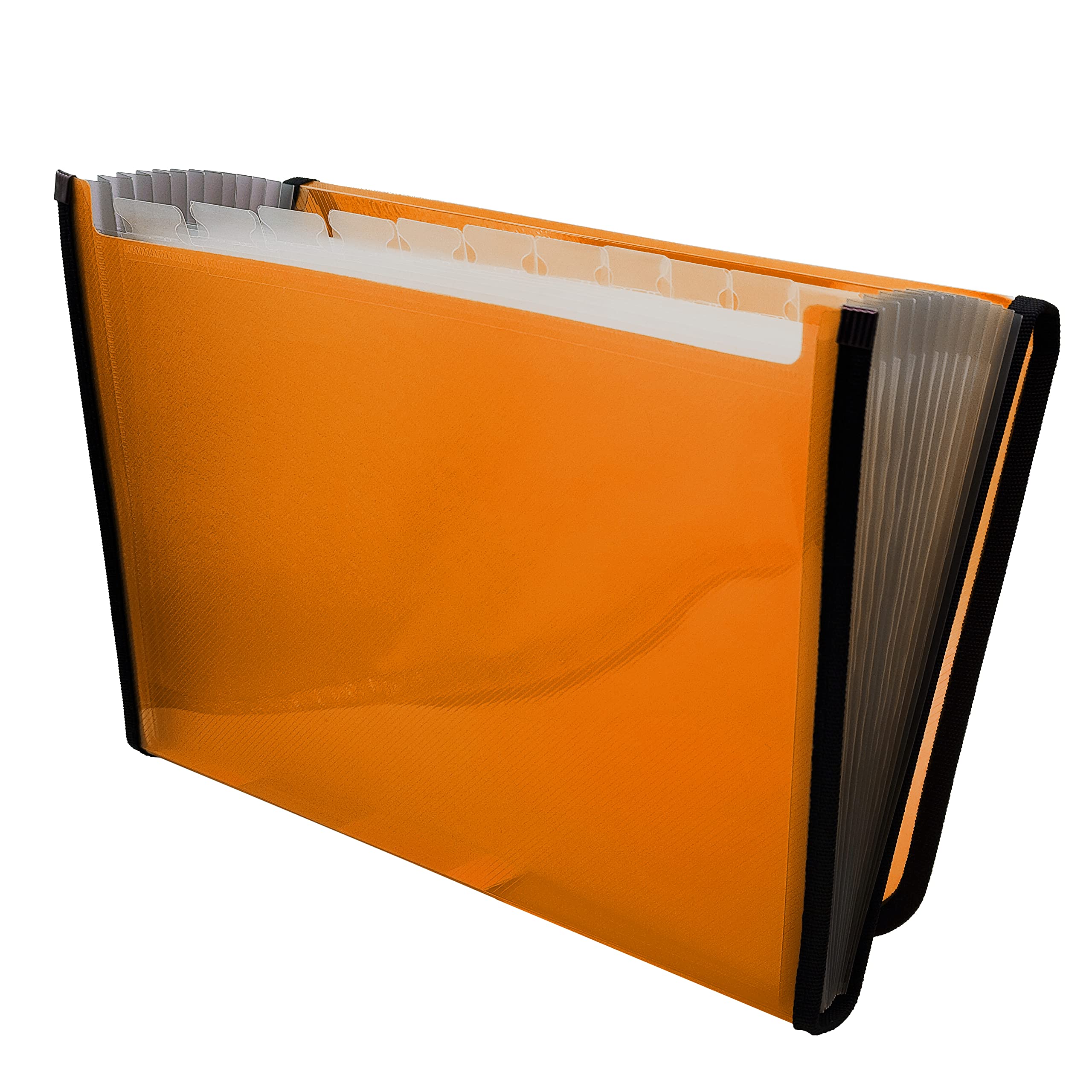 Raylu Paper® - 12 Pockets Accordion Sorting Folder Plastic Folder for Office with Reinforced Dividers and Edges (Orange)