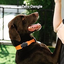 Citymore for AirTag Dog Collar Holder 1