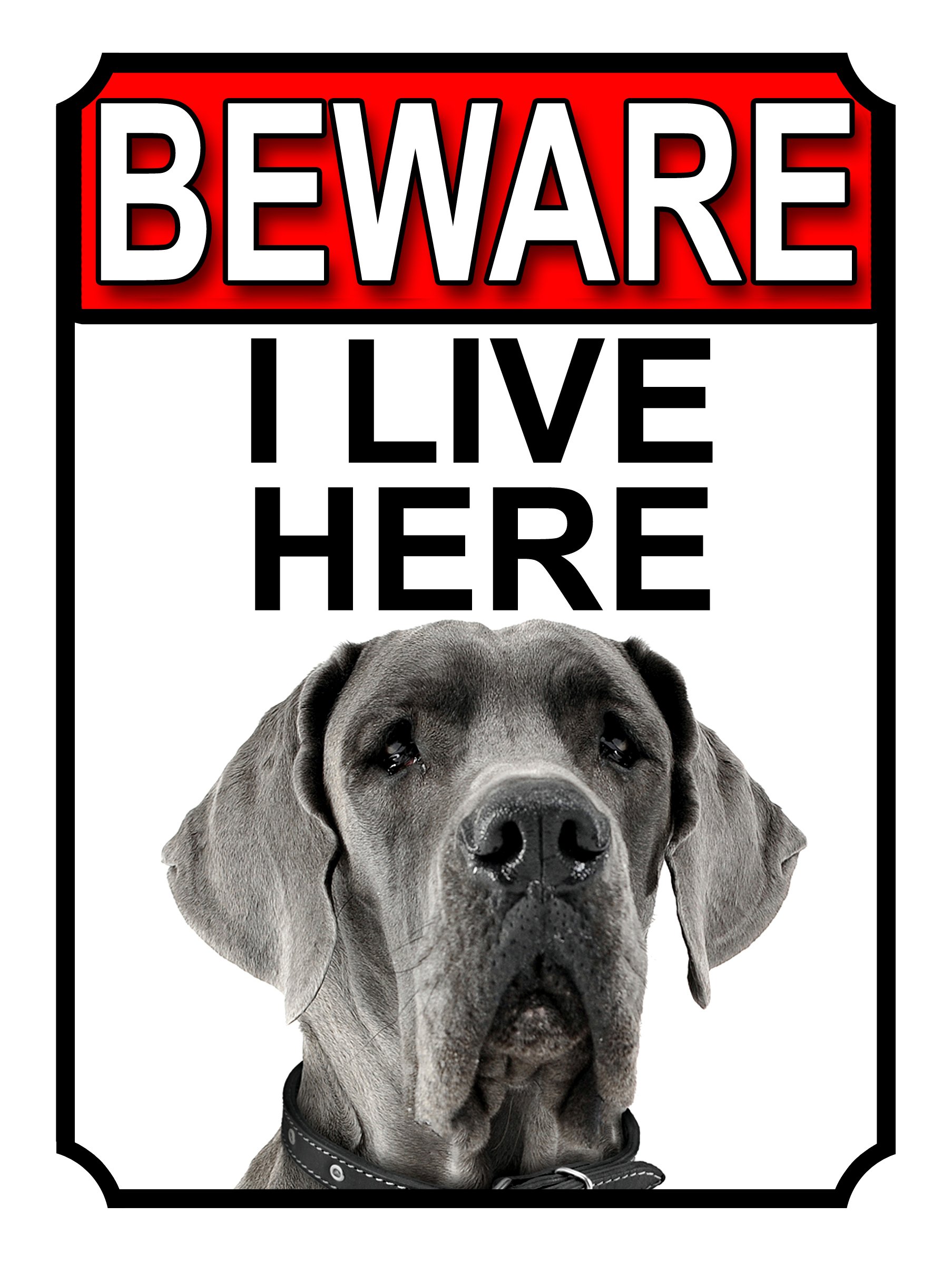 Shawprint BEWARE I LIVE HERE METAL GATE SIGN GREAT DANE 200MM X 10MM (1071H1)