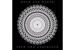 Into The Labyrinth (Vinyl)