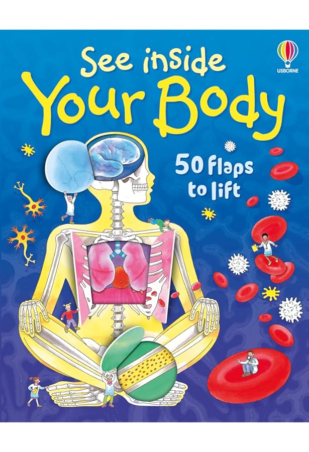 Amazon.com: See Inside Your Body: 9780794512330: Daynes, Katie