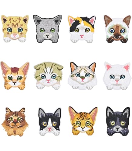 Amazon.com: El Gato Cute Cat Foto Patch Animal Sweet Kitten