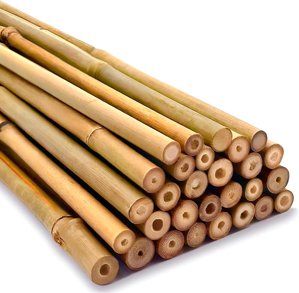 TradeXone Heavy Duty Bamboo Canes 2ft-8ft for Plant Support