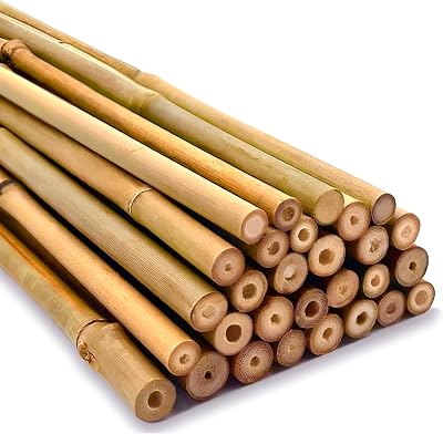 TradeXone Heavy Duty Bamboo Canes 2ft-8ft for Plant Support