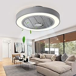 Jinweite Ceiling Fan with Light, 19 inches LED