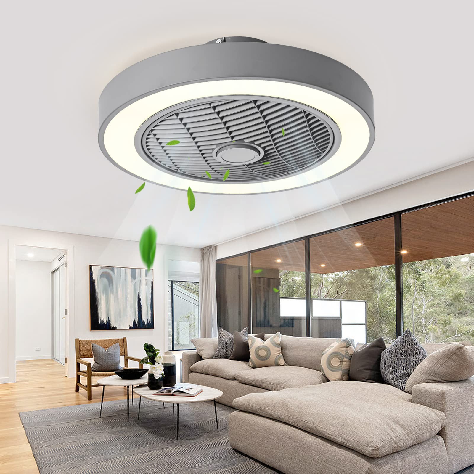 Jinweite Ceiling Fan with Light, 19 inches LED