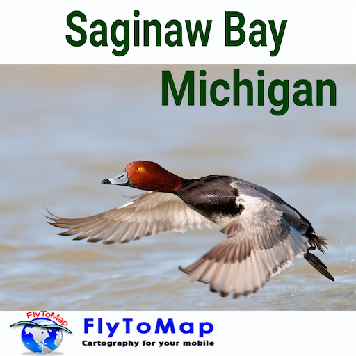 Saginaw Bay Gps Map Navigator: Amazon.es: Appstore para Android