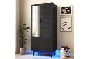 jiteentarou 2 Door Armoire Wardrobe Closet Cabinet with Drawers and LED Lights, Multi-Tier Shelves, Hanging Rod & 2 Louver Doors, Large Capacity Storage Wardrobe Armoire for Bedroom(2 Doors Black)