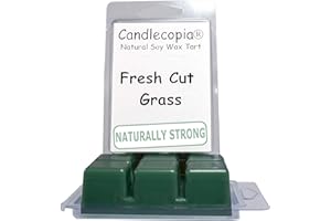 Candlecopia Fresh Cut Grass Strongly Scented Hand Poured Vegan Wax Melts, 12 Scented Wax Cubes, 6.4 Ounces in 2 x 6-Packs