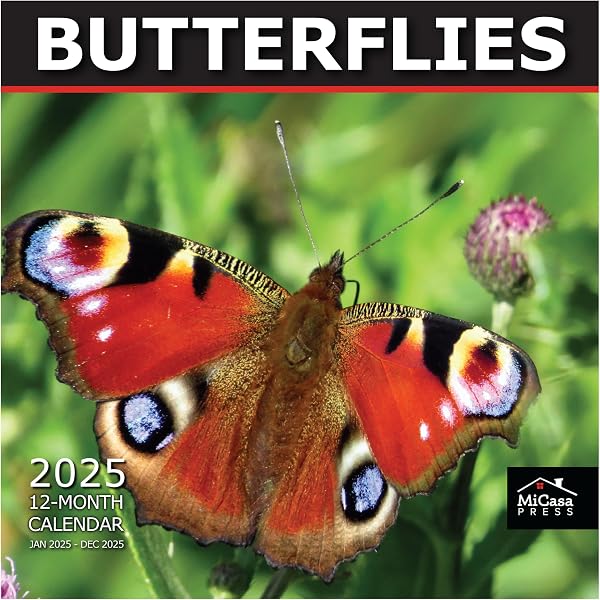 Calendario De Pared 2025 Mariposas - 16 Meses + 180 Etiquetas (30x30cm)