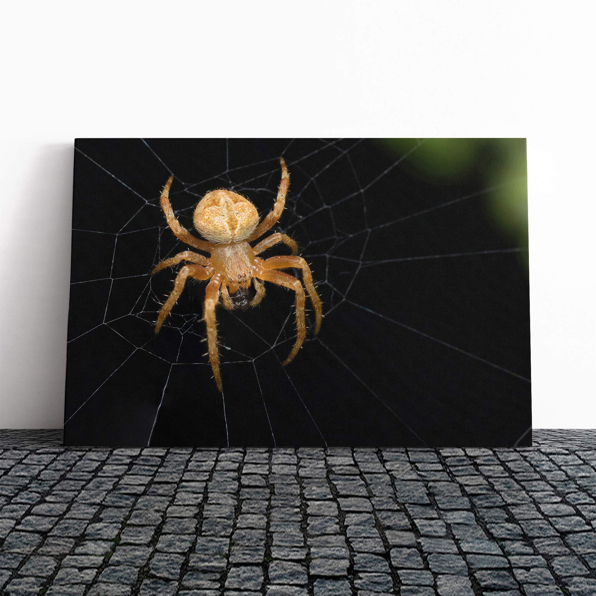 Spider Cobweb (4) Canvas Print | Gallery Wrapped 30mm Frame Wall Art | 20x14 inches | Ready to Hang | Modern Animal Picture | Living Room Bedroom Lounge Office