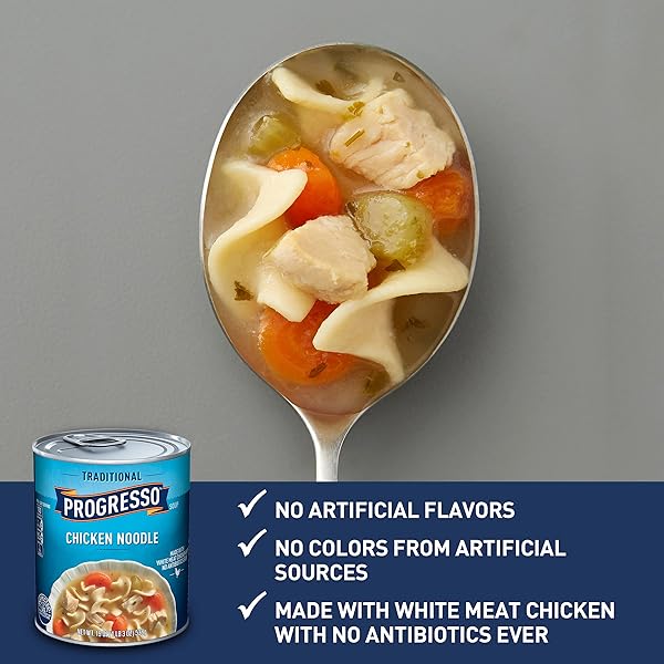 PROGRESSO CHICKEN NOODLE SOUP, 19 OUNCE