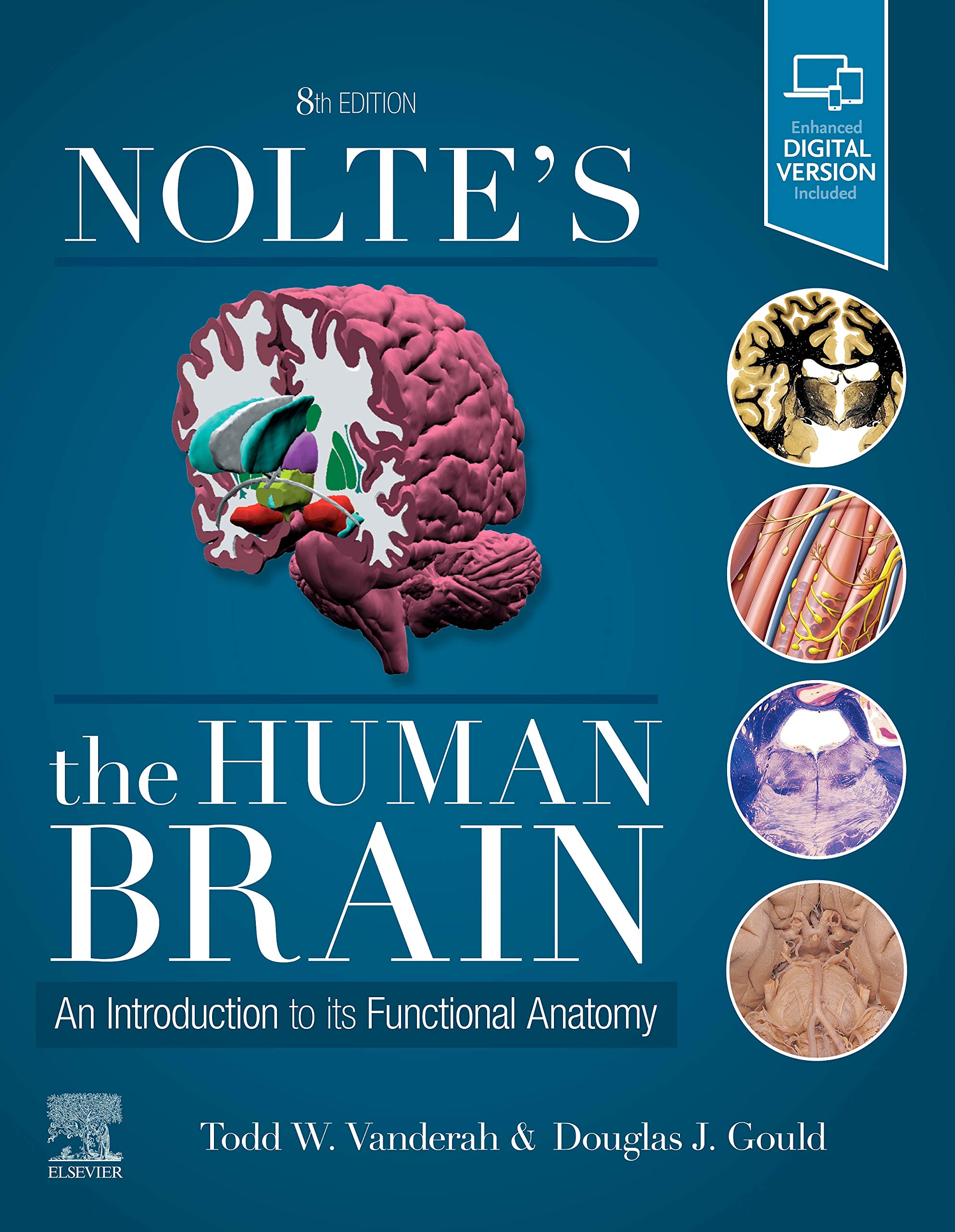 Nolte's Human Brain W/Access
