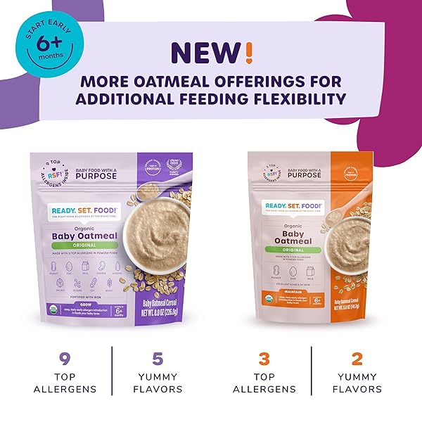 READY SET FOOD ORGANIC BABY OATMEAL CEREAL – SAFE & EASY EARLY ALLERGEN EXPOSURE FOR BABIES 6+ MONTHS, ORGANIC BABY FOOD WITH 9 TOP ALLERGENS: ORGANIC PEANUTS, MILK, EGGS, CASHEWS & MORE (15 SERVINGS) (PUMPKIN CINNAMON)