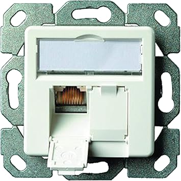 Telegärtner J00020A0500 Caja de mecanismos, Blanco: Amazon.es: Bricolaje y herramientas