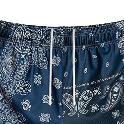 DIOTSR Mens Paisley Graphic Basketball Shorts