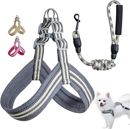 avalanche step in dog harness