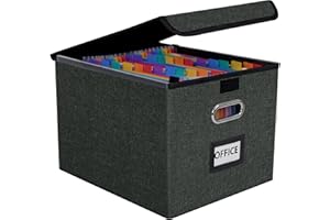 Fuonsyn File Organizer Box with 25-Pocket Accordion Folder, File Folder & Protective Lid - Document Storage for Home, Office,