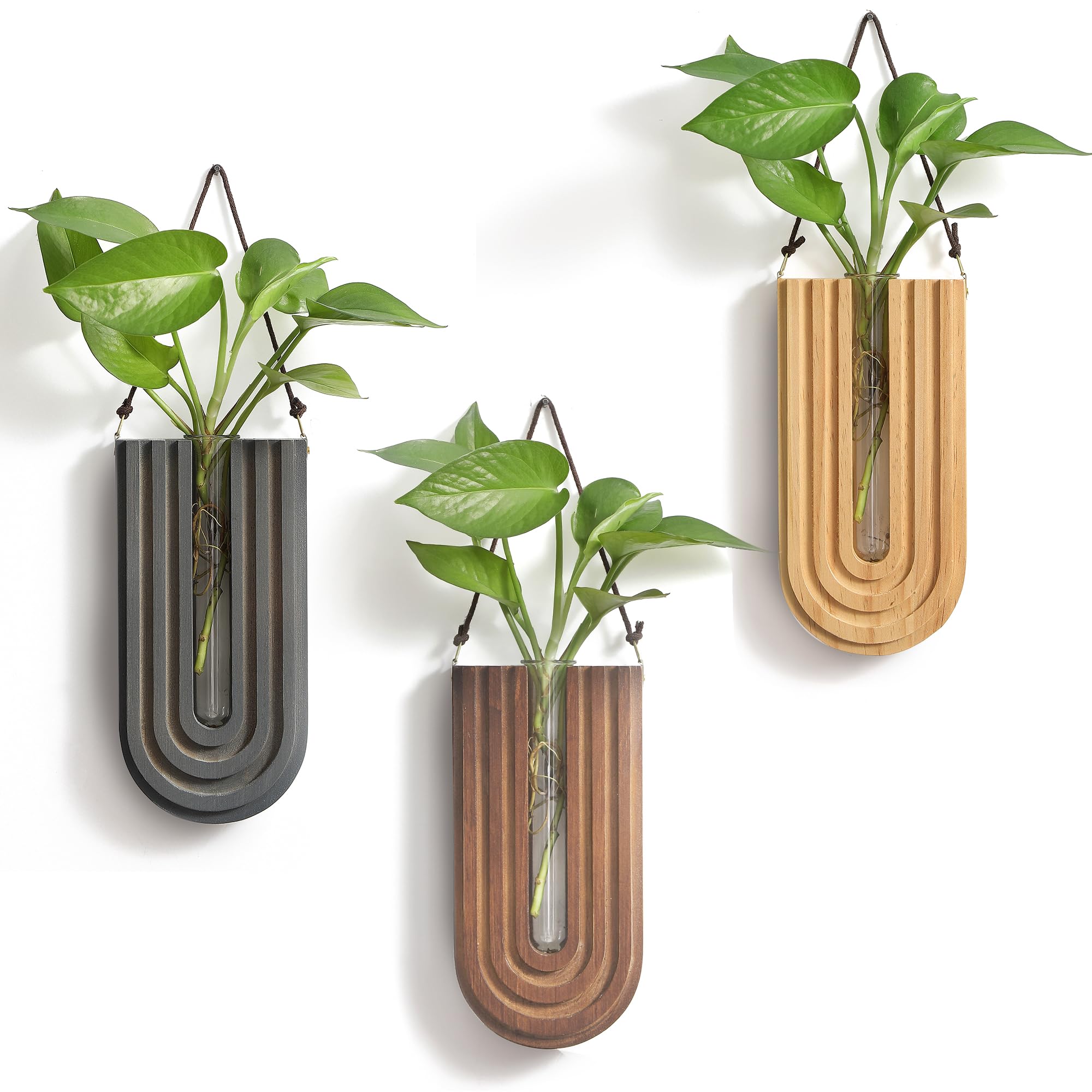 Photo 1 of Wood Wall Planter Indoor, Propagation Station, Wooden Hanging Vase for Dried Flowers, Plant Holder, Boho Wall Décor for Living Room Rainbow U Shape (Set of 3)