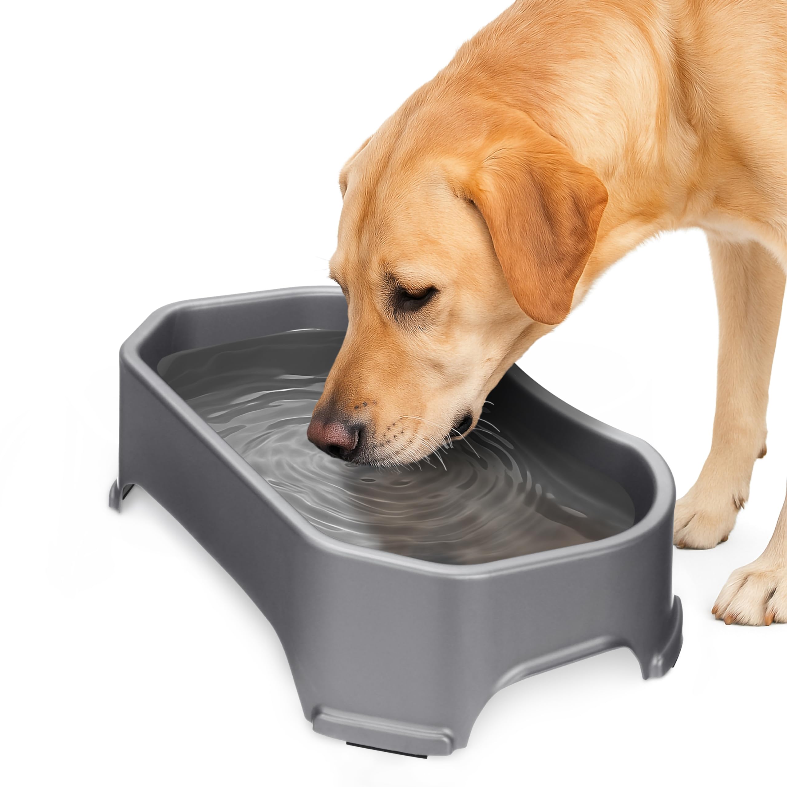 Neater Pet Brands Big Bowl for Dogs - Extra High Capacity Dog Water Bowl (4.7 Liters), Gunmetal Grey