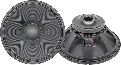 speaker pa 18 inch