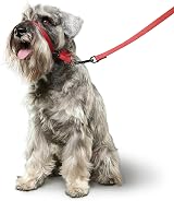 Beaphar Gentle Leader Head Collar for Small Dogs - Anti-Pull Training Aid view 4