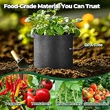 T4U 5-Pack 10 Gallon Fabric Grow Bags Heavy Duty with Handles view 7