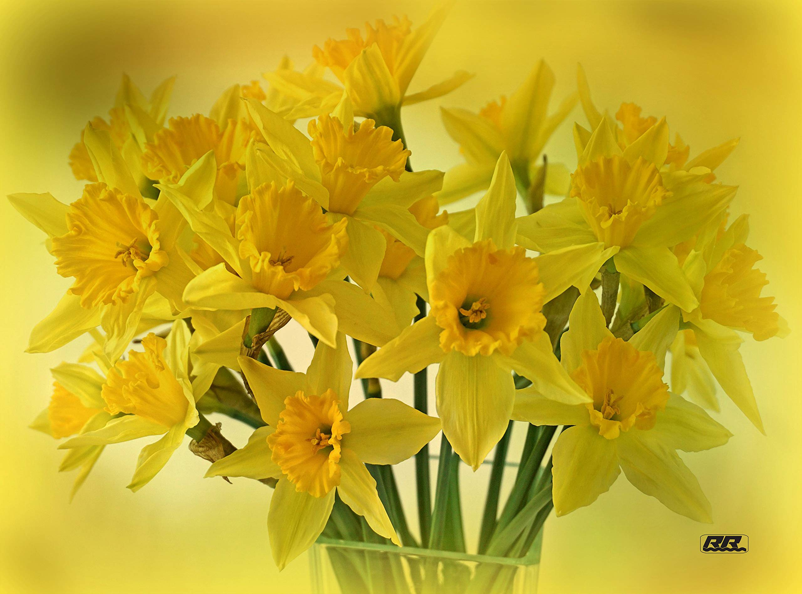 Rogue River Tactical Floral Kitchen Glass Cutting Board Decorative Gift For Mom Daffodil Bouquet Design