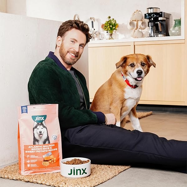 JINX PREMIUM GRAIN-FREE DRY DOG FOOD, FOR ALL LIFESTAGES – REAL SALMON, SWEET POTATO & CARROT PUPPY KIBBLE WITH SUPERFOODS FOR IMMUNE SUPPORT & PROBIOTICS FOR DIGESTIVE SUPPORT – NO FILLERS – 4LB