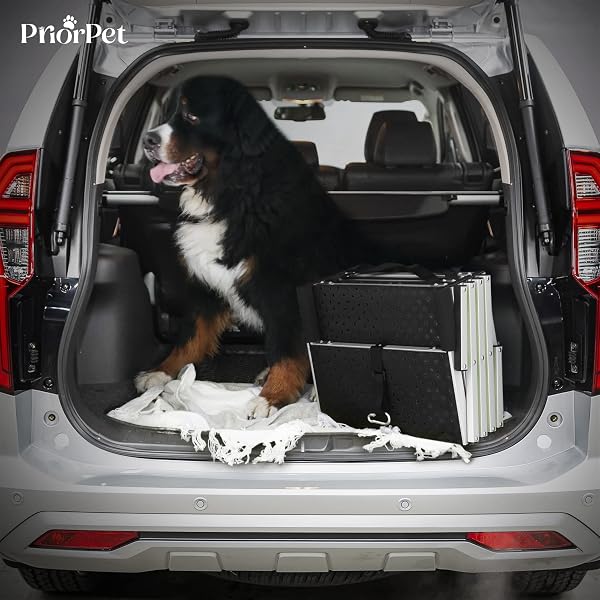 DOG STAIRS FOR LARGE DOGS PRIORPET – GLOW IN THE DARK MARKING – FOLDABLE DOG RAMP FOR CAR AND SMALL SUV – DOG STEPS FOR CAR – NON-SLIP SURFACE – DOG RAMPS FOR LARGE DOGS – 4 STEPS