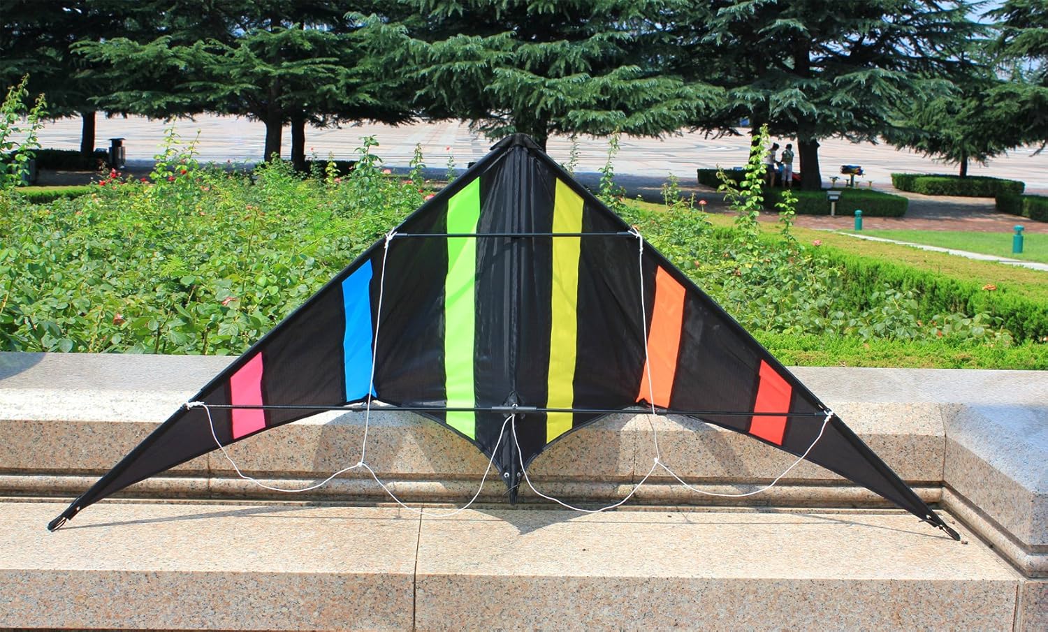 Kites Sports & Outdoors Hengda KiteAurora 48 inch Dual Line Stunt Kite
