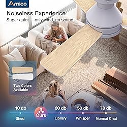 Amico Ceiling Fans with Lights, 42 inch Low Profile