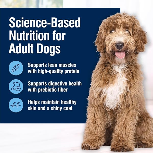 BLUE BUFFALO TRUE SOLUTIONS TOTAL SUPPORT NATURAL DRY DOG FOOD FOR ADULT DOGS, CHICKEN, 4-LB. BAG