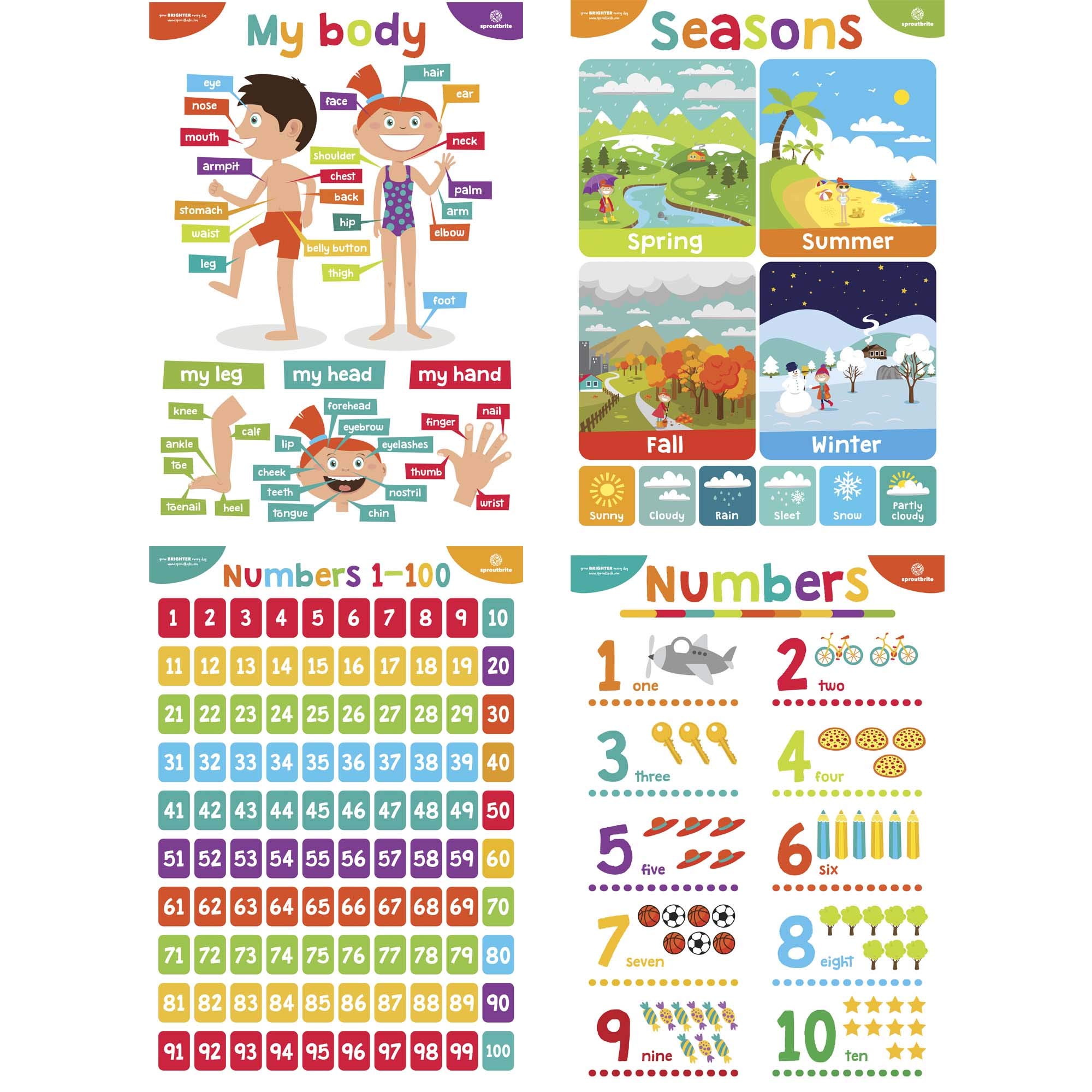 Mua Sproutbrite Educational Posters for Toddlers - Classroom Posters ...