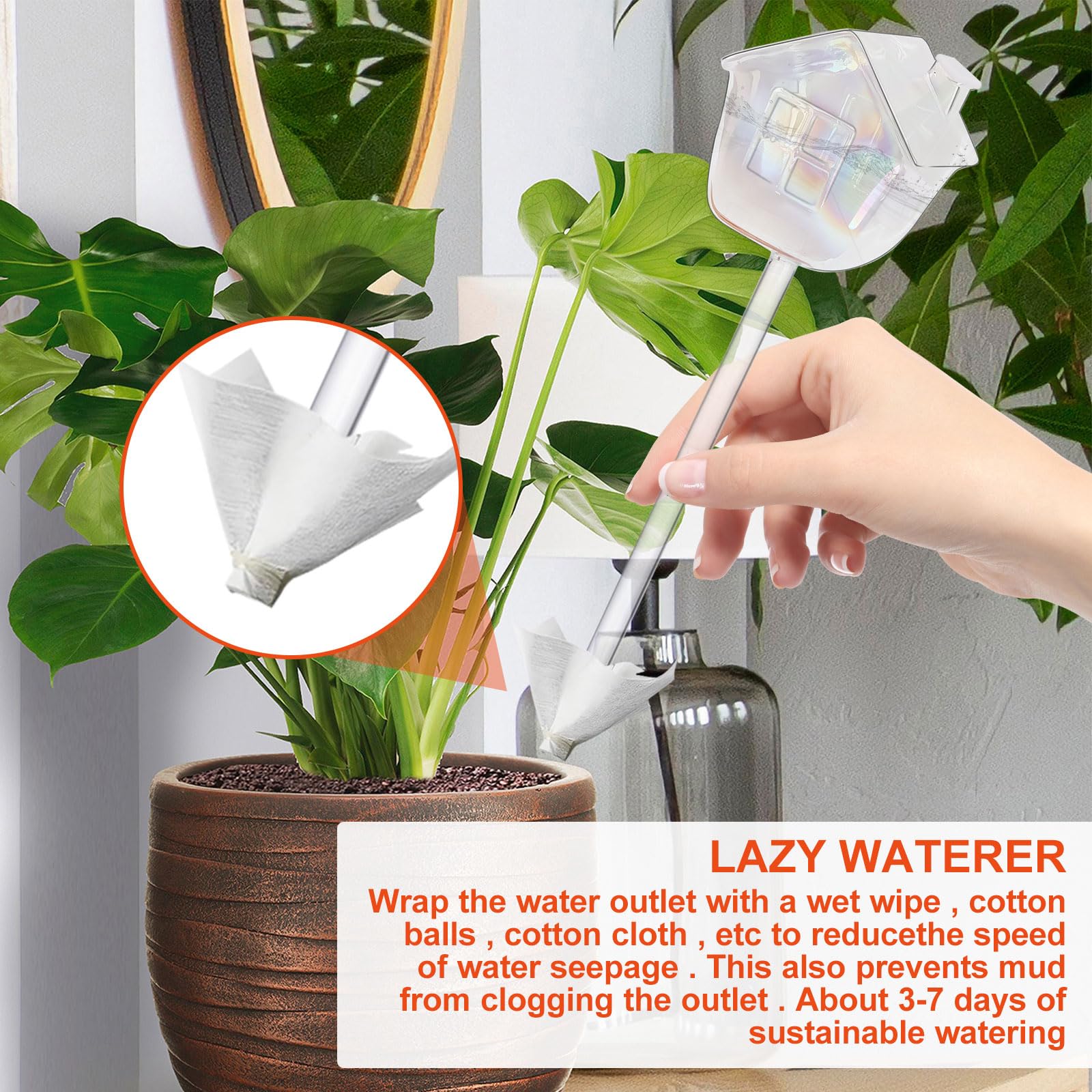 View 3
