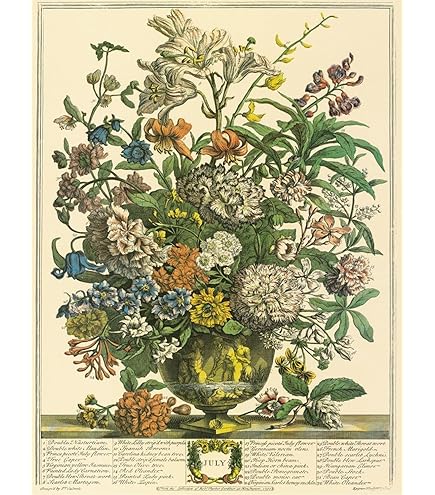 Amazon.com: Robert Furber - Twelve Months of Flowers 1730/March