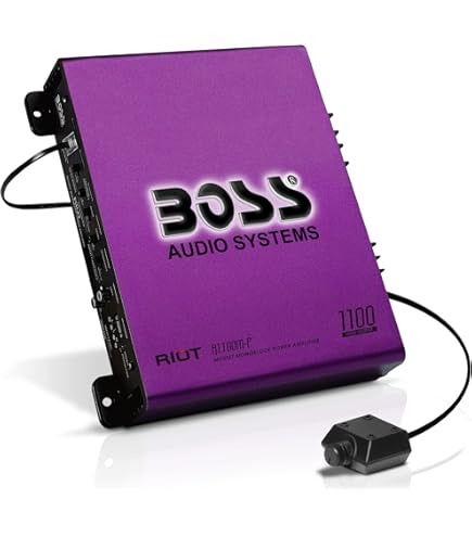 Amazon.com: BOSS Audio AR2000M Armor 2000 Watt Monoblock