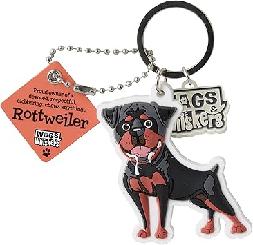 moist and meaty dog food ingredients