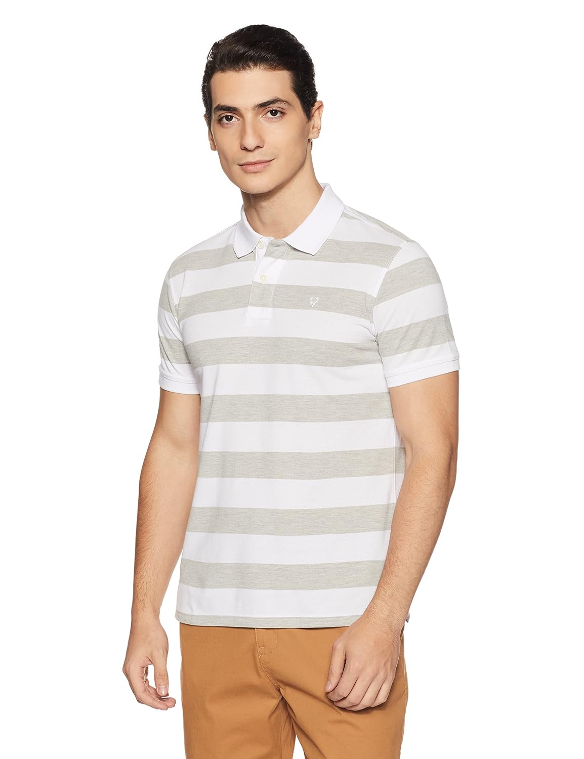 allen solly men's polo
