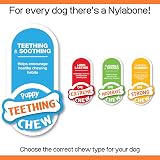 Nylabone Puppy Starter Kit 3 Pack Small Teething Chew Bones for Puppies up to view 6